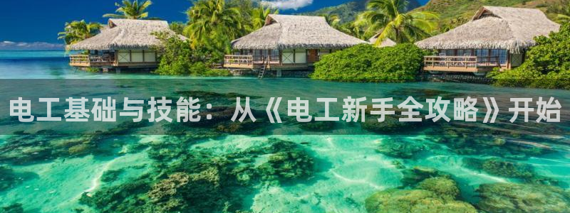 长日光阴似箭乱作一团趣笔阁：电工基础与技能：从《电工新手全攻略》开始