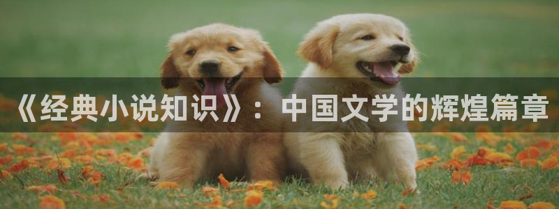 趣笔阁下载：《经典小说知识》：中国文学的辉煌篇章
