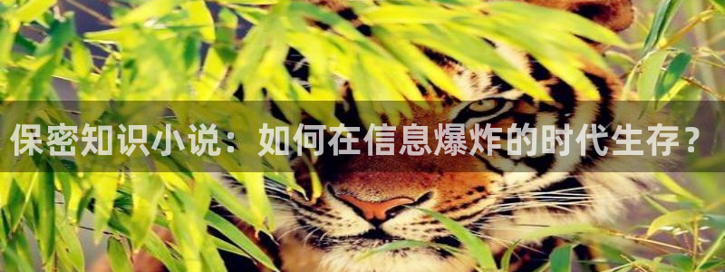陈浩叶倾城趣笔阁：保密知识小说：如何在信息爆炸的时代生存？