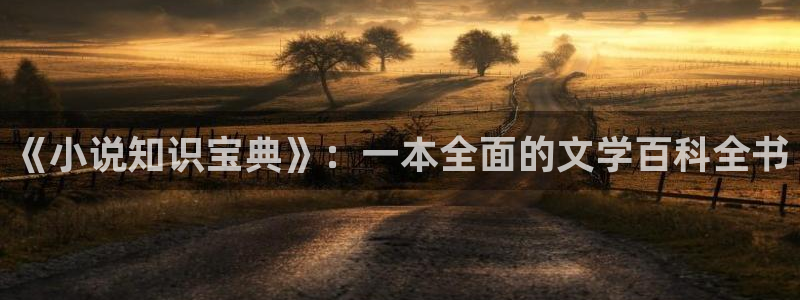 百炼成神趣笔阁：《小说知识宝典》：一本全面的文学百科全书