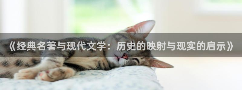 步步惊情韩雪老谢趣笔阁：《经典名著与现代文学：历史的映射与现实的启示》