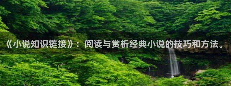 圣墟趣笔阁：《小说知识链接》：阅读与赏析经典小说的技巧和方法。