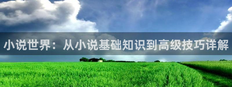 阿宾正传趣笔阁庆仔：小说世界：从小说基础知识到高级技巧详解