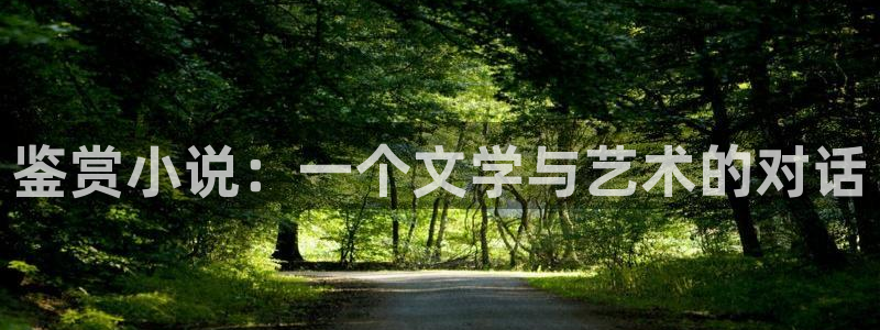 步步惊情韩雪老谢趣笔阁：鉴赏小说：一个文学与艺术的对话