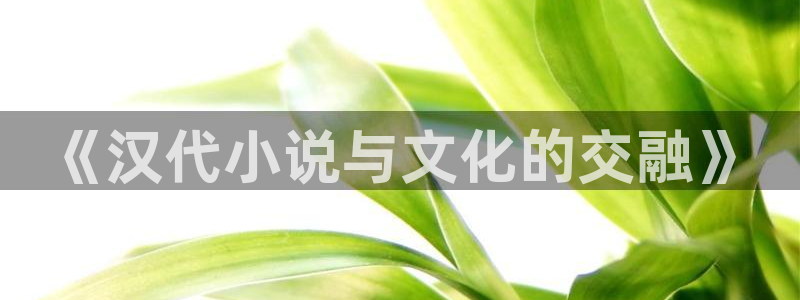诡秘之主小说趣笔阁：《汉代小说与文化的交融》