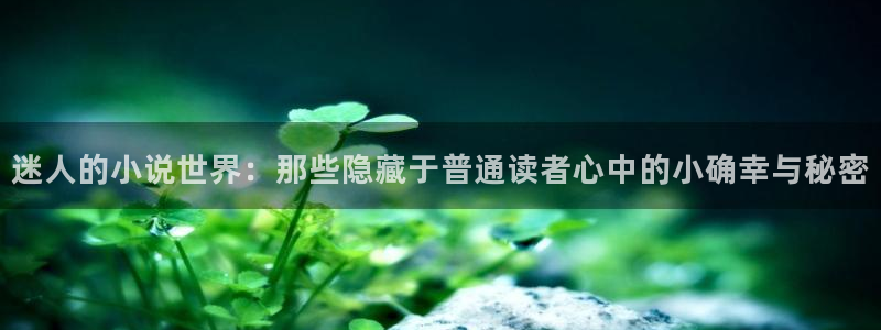 阿宾正传趣笔阁庆仔：迷人的小说世界：那些隐藏于普通读者心中的小确幸与秘密