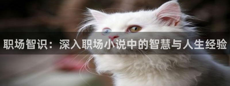 阿宾正传1—72与钰慧趣笔阁txt：职场智识：深入职场小说中的智慧与人生经验