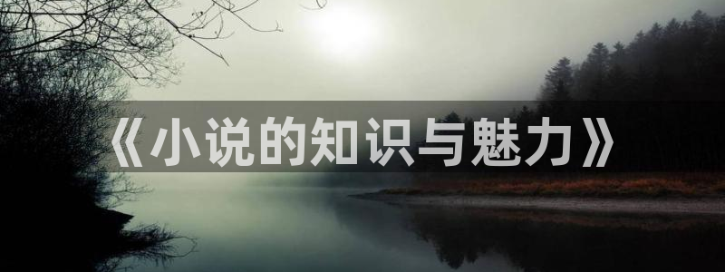 阿宾正传1—72与钰慧趣笔阁txt：《小说的知识与魅力》