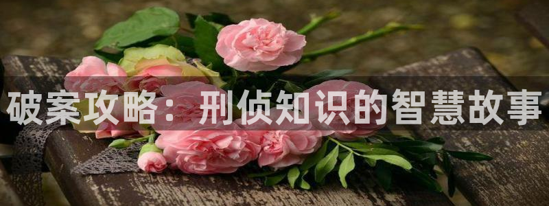 盗墓笔记小说趣笔阁：破案攻略：刑侦知识的智慧故事