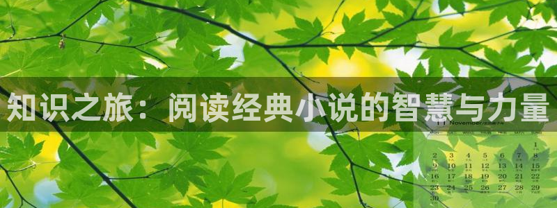 百炼成神趣笔阁：知识之旅：阅读经典小说的智慧与力量