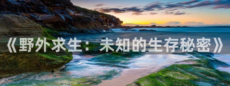 诡秘之主小说趣笔阁：《野外求生：未知的生存秘密》