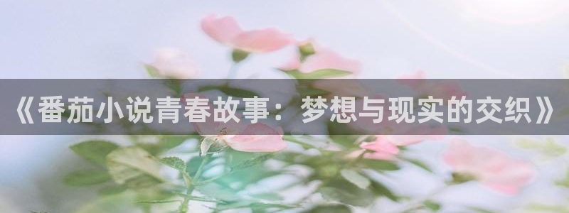 阿宾正传趣笔阁庆仔：《番茄小说青春故事：梦想与现实的交织》