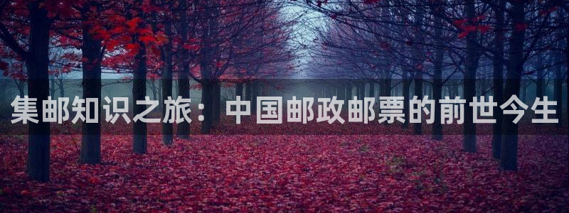 百炼成神趣笔阁：集邮知识之旅：中国邮政邮票的前世今生