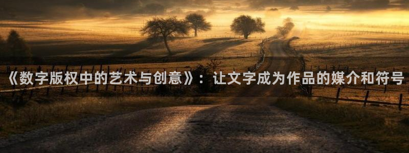 阿宾正传趣笔阁庆仔：《数字版权中的艺术与创意》：让文字成为作品的媒介和符号