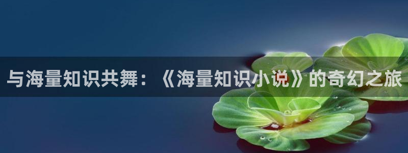 趣笔阁辣文：与海量知识共舞：《海量知识小说》的奇幻之旅