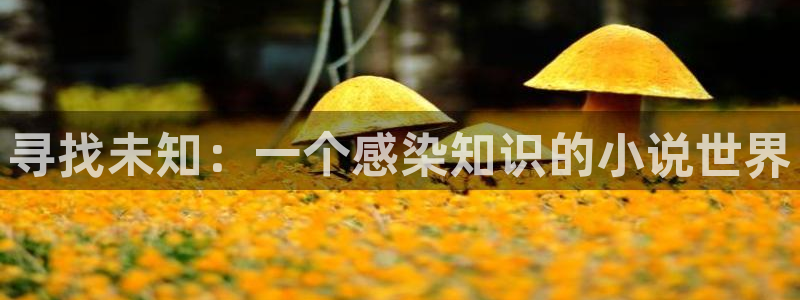 趣笔阁免费阅读：寻找未知：一个感染知识的小说世界