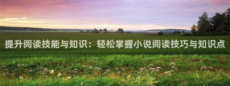 步步惊情韩雪老谢趣笔阁：提升阅读技能与知识：轻松掌握小说阅读技巧与知识点
