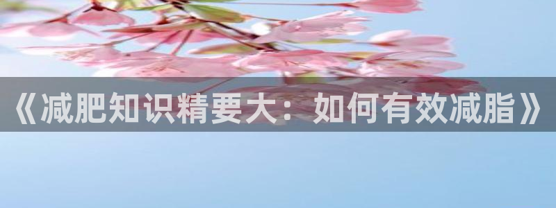 长日光阴似箭乱作一团趣笔阁：《减肥知识精要大：如何有效减脂》