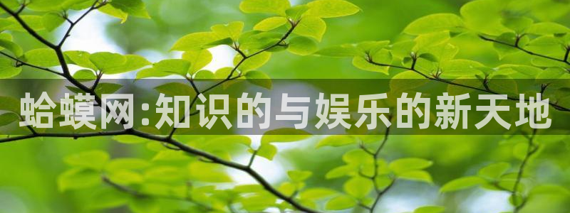 盗墓笔记小说趣笔阁：蛤蟆网:知识的与娱乐的新天地